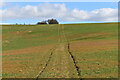 SU3124 : Path rising to the skyline near Carter's Clay by David Martin