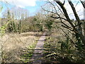 TG3227 : Looking East down to Weavers Way from Former Railway Bridge by David Pashley