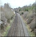 ST5469 : Bristol to Taunton railway by Anthony O'Neil