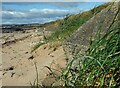 NO4401 : Anti-tank blocks, Largo Bay, Fife by Claire Pegrum