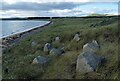 NO4600 : Anti-tank blocks, Shell Bay, Fife by Claire Pegrum