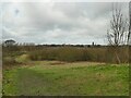 SE3533 : Muddy path in Primrose Valley Park by Stephen Craven