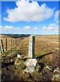 SX2574 : Old Boundary Marker on Langston Down by P G Moore