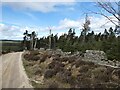 NY9355 : Forest road in Slaley Forest by Oliver Dixon