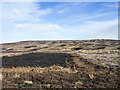 NY9947 : Burned heather moorland by Trevor Littlewood