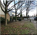 ST3188 : Deciduous trees in winter, Wyndham Street, Newport by Jaggery