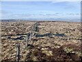 NT3148 : View northwest from Blackhope Scar's summit by Richard Webb