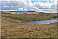 SN7868 : View over Llyn Teifi from the north by Nigel Brown