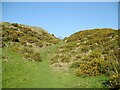 SD2780 : The Cumbria Way near Higher Lath Farm by Adrian Taylor