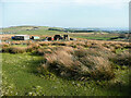 SE0632 : Ruin off Foreside Lane, Denholme by Humphrey Bolton