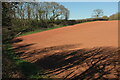 SX8963 : Tilled field, Livermead by Derek Harper