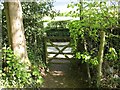 NY2623 : Footpath Gate, Briar Rigg by Adrian Taylor