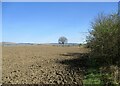 NS7176 : Bare field at Girnal Hill by Alan O'Dowd