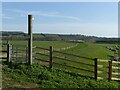 SK6442 : Trent Valley Way near Stoke Bardolph by Alan Murray-Rust