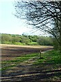 SK6541 : On the Trent Valley Way near Radcliffe-on-Trent by Alan Murray-Rust