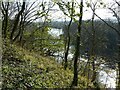 SK6540 : Looking down on Stoke Weir by Alan Murray-Rust