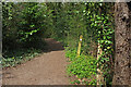 SX8670 : Cycle trail, Decoy Country Park by Derek Harper