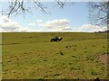 NS5374 : Fertiliser spreading by Richard Sutcliffe