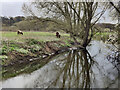 SO8273 : River Stour near Pratt's Wharf by Mat Fascione