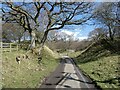 NY8677 : Demolished bridge on the former Border Counties railway by Oliver Dixon