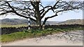 NY5243 : View of road to Beck Farm at Ruckcroft junction by Roger Templeman