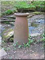 NZ0714 : Not so Old Boundary Marker beside Manyfold Beck, Egglestone Abbey parish by Mike Rayner