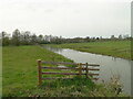 TM1678 : River Waveney upstream from Billingford Bridge by Adrian S Pye