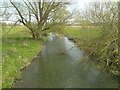 TM1678 : River Waveney downstream from Billingford Bridge by Adrian S Pye