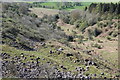 SO3218 : West side of Skirrid Fawr by M J Roscoe