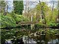 SJ7481 : Golden Brook Pits, The Japanese Garden at Tatton Park by David Dixon