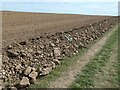 TA1874 : Big lumps of chalk at the edge of a ploughed field by Christine Johnstone