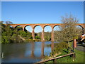 NZ8909 : Larpool Viaduct, near Whitby by Malc McDonald