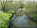 TM1478 : River Waveney downstream from the A140 bridge by Adrian S Pye