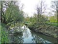 TM1478 : River Waveney in reflective mood #2 by Adrian S Pye