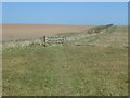 TA2073 : Kissing gate on the permissive path to the cliffs by Christine Johnstone