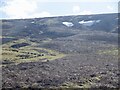 NT5965 : Snow patches, Newlands Hill by Richard Webb