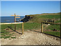 NZ9110 : Coastal footpath at Saltwick, near Whitby by Malc McDonald