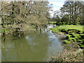 TM2280 : River Waveney downstream from Needham footbridge by Adrian S Pye