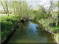 TM3388 : Upstream from the relief channel footbridge by Adrian S Pye