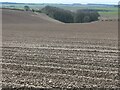 SE9874 : Undulating chalk farmland, East Wold by Christine Johnstone