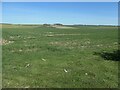 SE9172 : Farmland on the west side [and above] Old Dale by Christine Johnstone