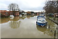 TM4290 : River Waveney in flood from Beccles Bridge by Adrian S Pye