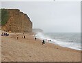 SY4690 : East Cliff, West Bay by Bill Harrison