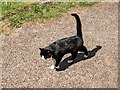 SO4430 : Cat at St. Mary and St. David's church (Kilpeck) by Fabian Musto