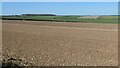 SE9472 : Bare field at the northern end of Wad Dale by Christine Johnstone