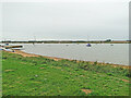 TM3041 : River Deben from Ramsholt Quay by Adrian S Pye