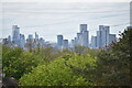 TQ4376 : View over trees of distant city skyline by David Martin