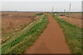 TG0444 : Norfolk Coast Path by N Chadwick