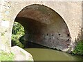 SO8761 : Salwarpe Bridge over the Droitwich Barge Canal by Philip Halling