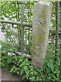 SU8686 : Benchmark cut on footbridge post, by River Thames near Marlow by David Hawgood